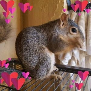 Meet your Posher, Bella